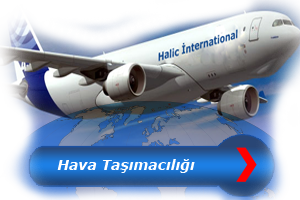 Havayolu Taşımacılığı